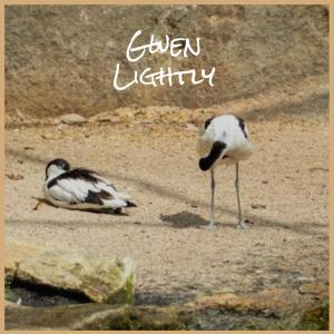 ดาวน์โหลดและฟังเพลง Dawk Cachet พร้อมเนื้อเพลงจาก Brida Mandar