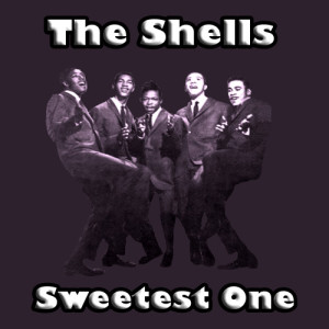 收聽The Shells的Don't Say Goodbye歌詞歌曲