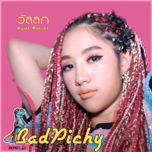 ดาวน์โหลดและฟังเพลง วัลลภ พร้อมเนื้อเพลงจาก BadPichy
