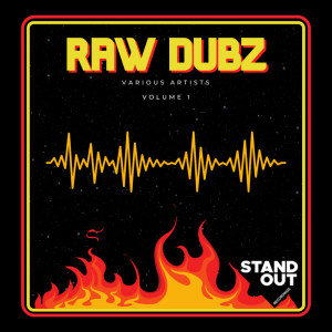 อัลบัม Raw Dubz Volume 1 ศิลปิน Various