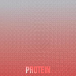 Album Protein from Various Artists