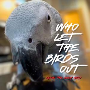 Jetty Rachers的專輯Who Let The Birds Out (Jetty Rachers Remix)