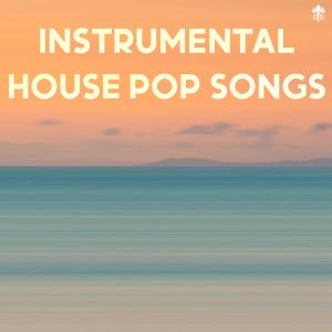 Various Artists的專輯Instrumental House Pop Songs