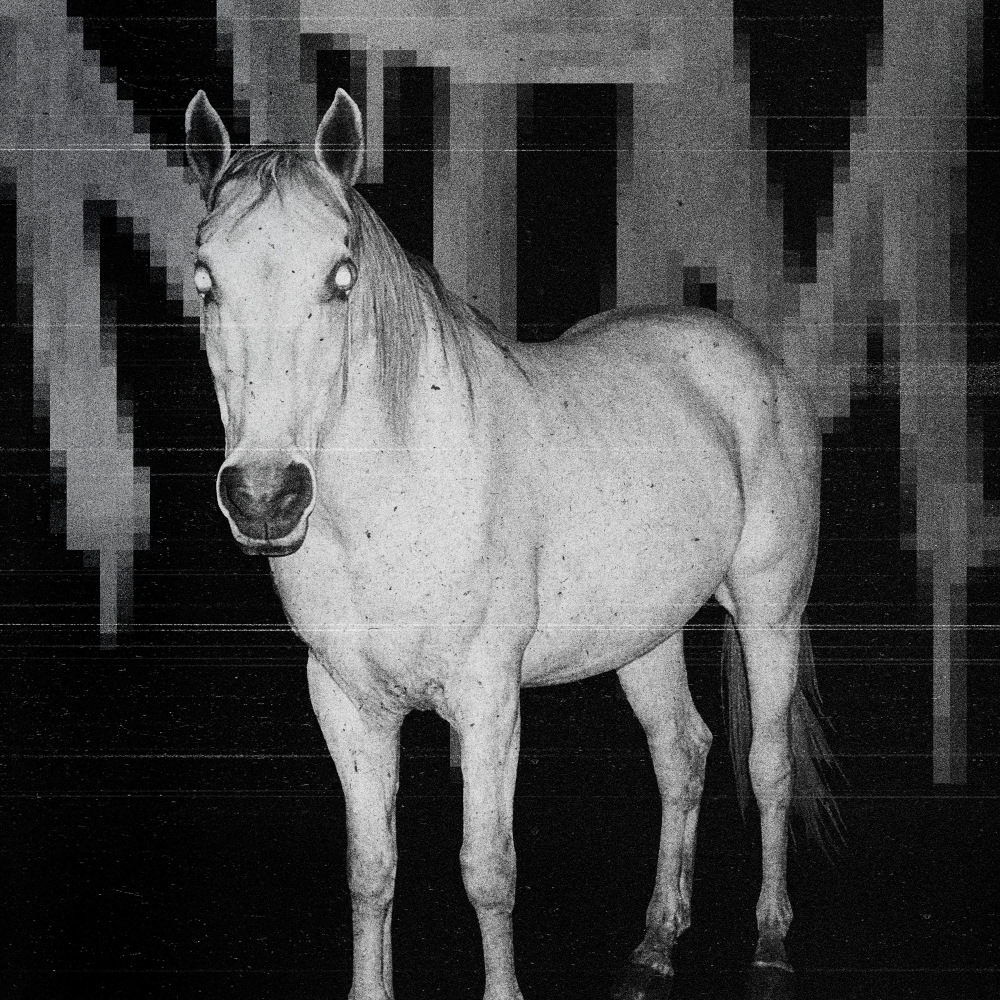 NTM (Explicit)