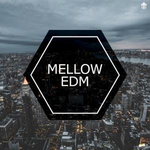Various Artists的專輯Mellow EDM