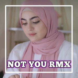 Listen to NOT YOU X MELODI ULAR song with lyrics from DJ Leyo