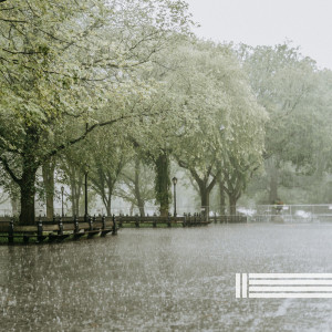 Listen to Night Rain song with lyrics from Rain Sounds Reserve