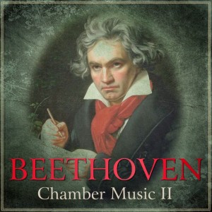 Album Beethoven: Chamber Music II from Alexandre Stein