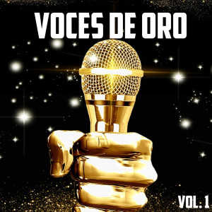 Varios Artistas的專輯Voces de Oro Vol.1