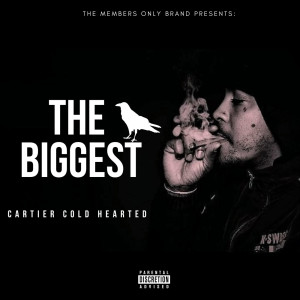 Listen to High Fashion (Explicit) song with lyrics from CARTIER COLD HEARTED