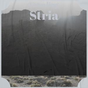 Listen to Crawling Stria song with lyrics from Keit Feres