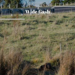 Album Wide Gash from Various