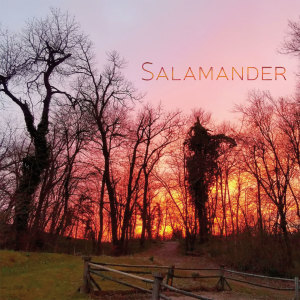 Album Salamander from Salamander
