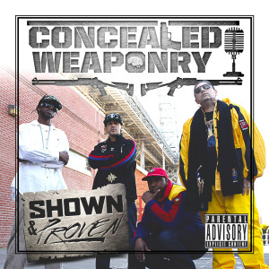 ดาวน์โหลดและฟังเพลง What Should I Do (Explicit) พร้อมเนื้อเพลงจาก Concealed Weaponry