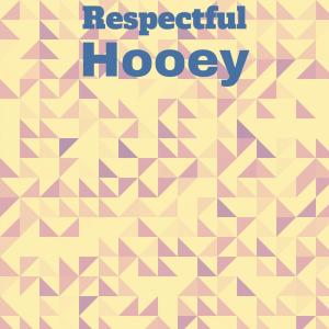 อัลบัม Respectful Hooey ศิลปิน Various