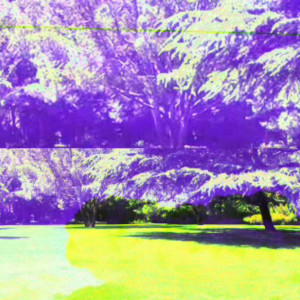 DroGotDoe的專輯NDW (Explicit)