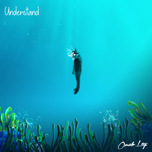 Omah Lay的專輯understand