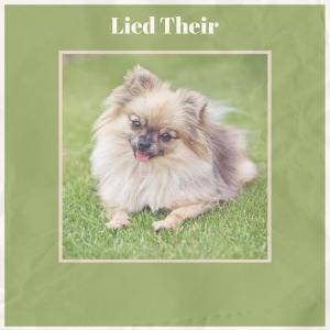 收聽Arlin Auka的After Either歌詞歌曲