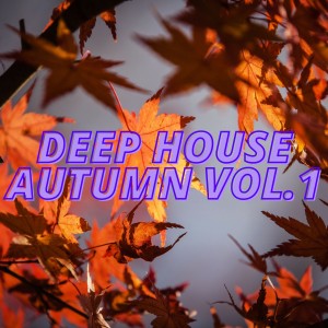 ดาวน์โหลดและฟังเพลง Overnight (Coast to Coast Deep Mix) พร้อมเนื้อเพลงจาก Yard Damn