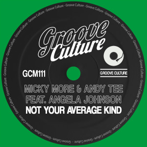 Andy Tee的專輯Not Your Average Kind
