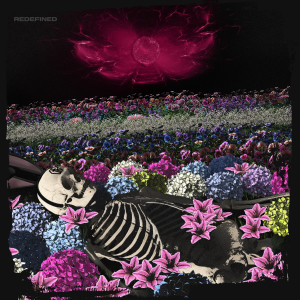 Dead Rabbitts的專輯Redefined (Explicit)