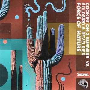 ดาวน์โหลดและฟังเพลง Force of Nature (Extended Mix) พร้อมเนื้อเพลงจาก Cookin' On 3 Burners