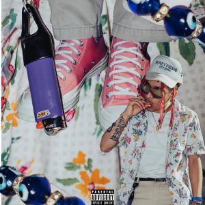 收聽LIL DISNEY的Backwood Love Story (Explicit)歌詞歌曲