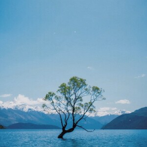 收聽大頭針 Official的人生何處不相逢（縱是告別也要交出真心意）歌詞歌曲