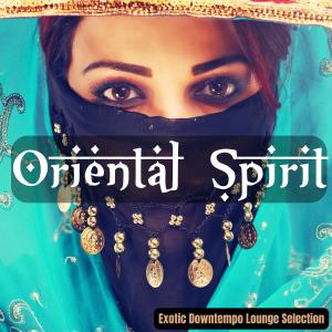 Listen to First Light (Sanskrit Chill Mix) song with lyrics from Mehndi