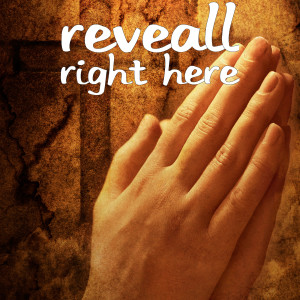 Listen to Right Here song with lyrics from Reveall