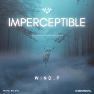 ดาวน์โหลดและฟังเพลง Imperceptible (Instrumental) พร้อมเนื้อเพลงจาก Wind.P