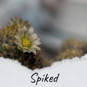 Listen to Spiked song with lyrics from Dita Slam