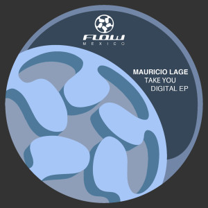 Listen to Take You (Explicit) song with lyrics from Mauricio Lage