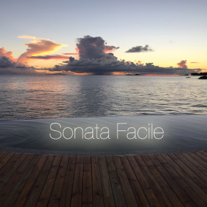 收听Sonata Facile的Dance of the Sugar Plum Fairy歌词歌曲