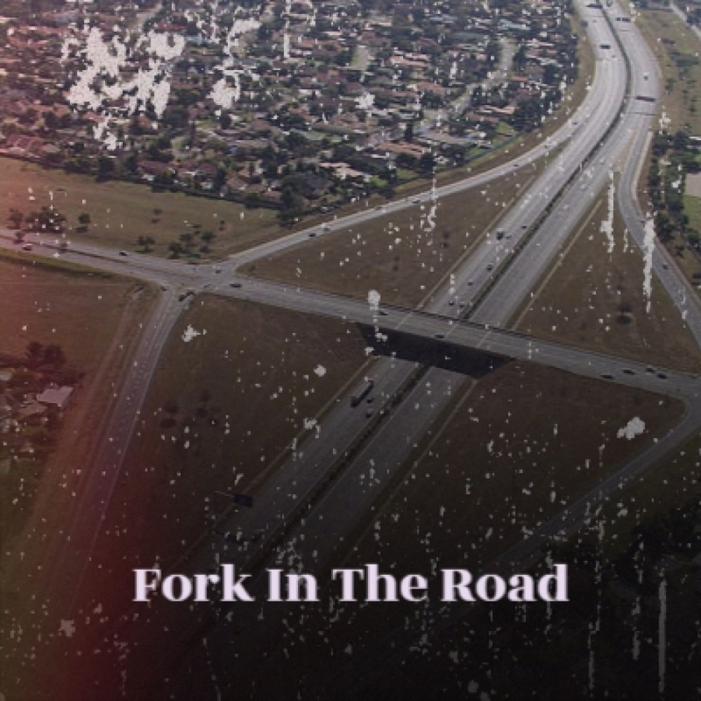 Fork in the Road