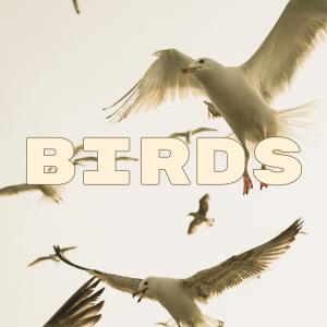 收聽Zoo Crew的Beyond Beliefs歌詞歌曲