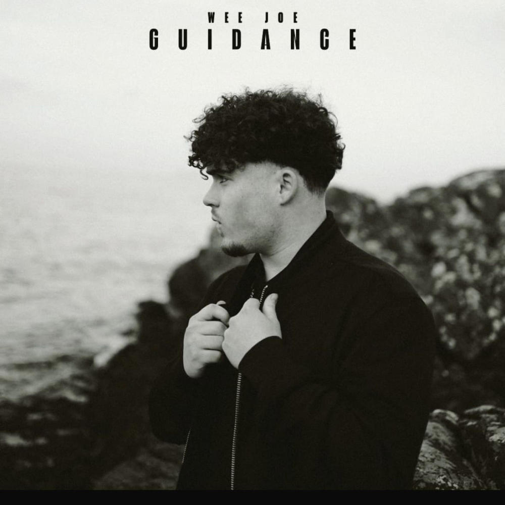 Guidance (Explicit)