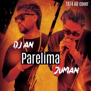อัลบัม Parelima (1974 AD) (feat. Zuman Shrestha) ศิลปิน DJ AN