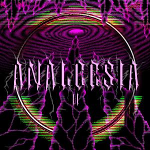 Album ANALGESIA 2 from PXCKDEVTH