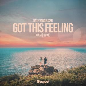 Album Got This Feeling oleh Nate VanDeusen