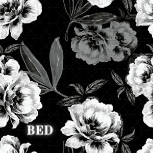 Album Bed from 