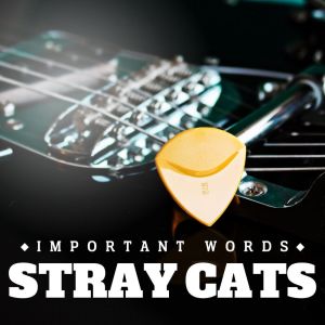 Important Words dari Stray Cats