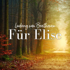 Listen to Für Elise song with lyrics from Ludwig van Beethoven