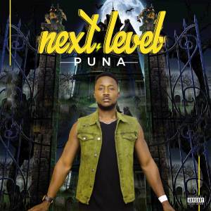 Puna的專輯Next Level