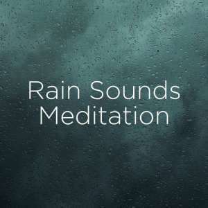 ดาวน์โหลดและฟังเพลง Asmr Rain Water พร้อมเนื้อเพลงจาก Rain Sounds