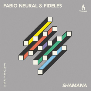 ดาวน์โหลดและฟังเพลง Shamana พร้อมเนื้อเพลงจาก Fabio Neural