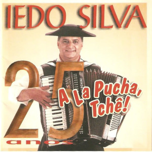 Listen to Carinho Bagual song with lyrics from Iedo Silva