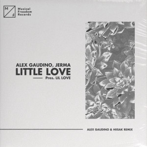 Alex Gaudino的專輯Little Love (pres. Lil' Love) [Alex Gaudino & Hiisak Remix]