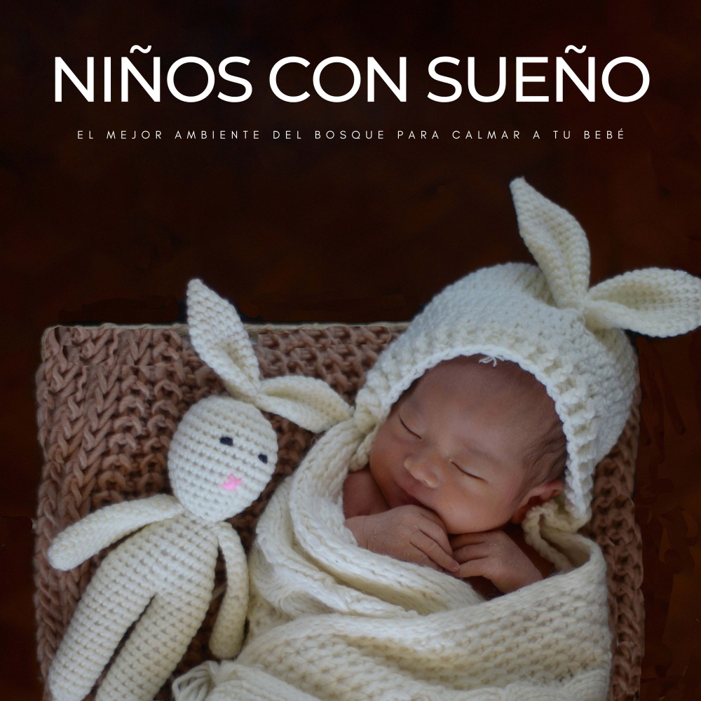 Sonidos De Arroyos Para Un Sueño Profundo