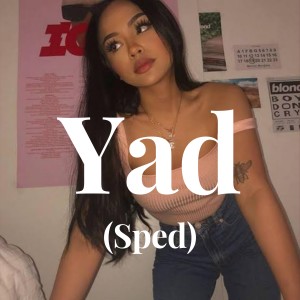 Listen to Yad (Sped) song with lyrics from Narresh Narrayan
